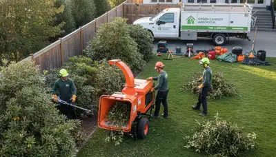 Professional shrub removal service in Columbus, OH by Chop Chop Tree experts