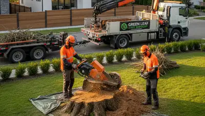 Professional stump removal service in Columbus, OH clearing tree stumps safely and efficiently