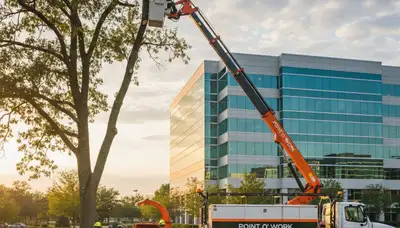 Professional tree removal service in Columbus, OH safely cutting and clearing large backyard trees