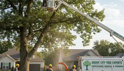 Professional tree removal service in Columbus, OH by certified arborists safely clearing trees